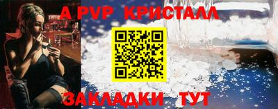 амф Гусев