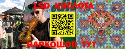 амф Гусев