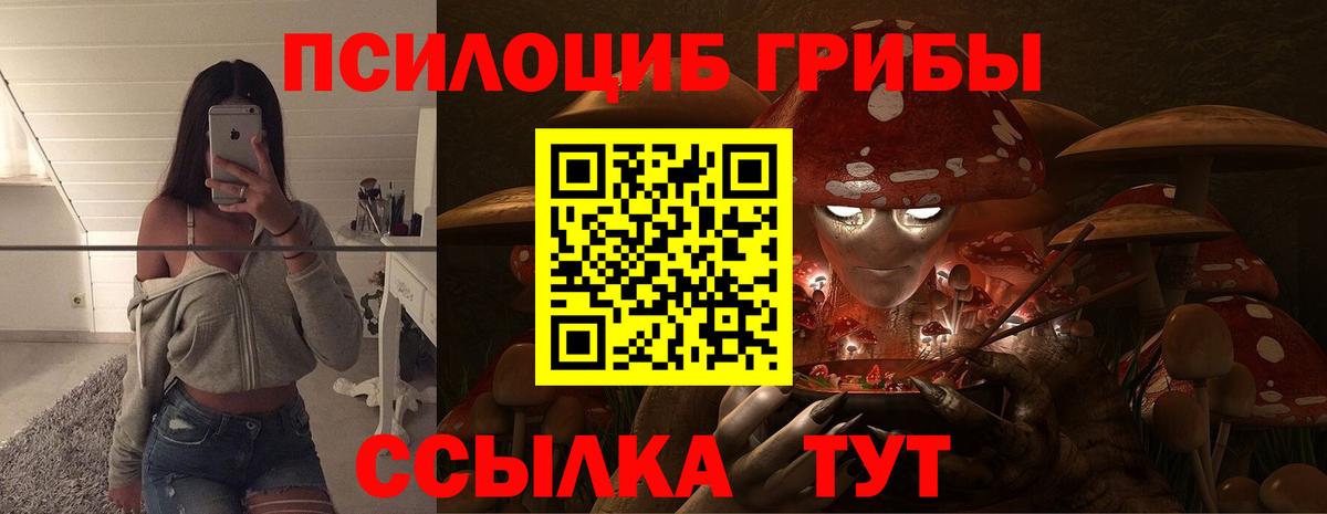 Галлюциногенные грибы GOLDEN TEACHER Москва